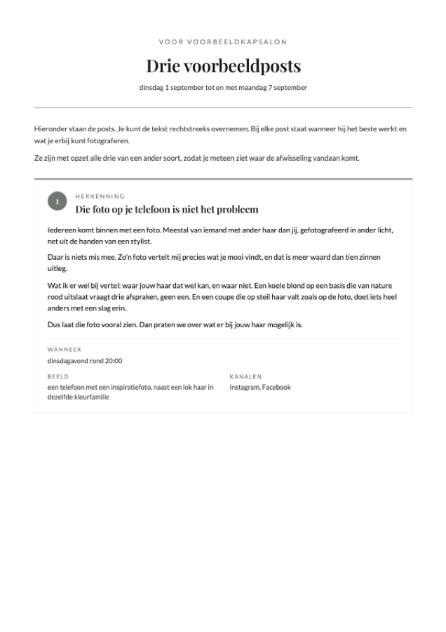 Voorbeeld van het opgemaakte document
